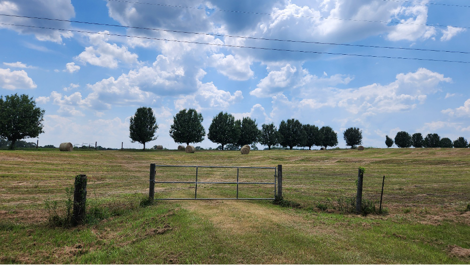 ./image_1771950887253