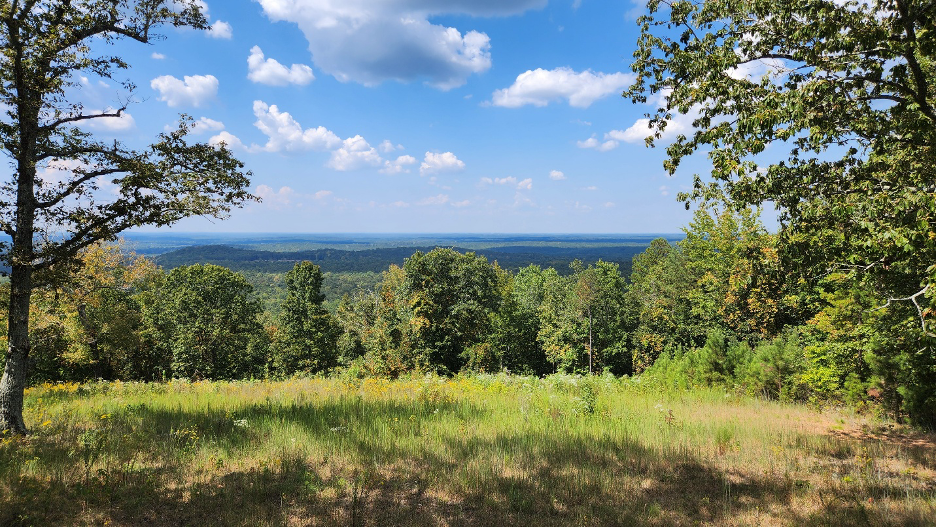 ./image_1771951904651