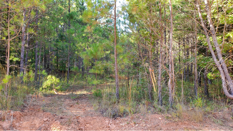 ./image_1771952511556